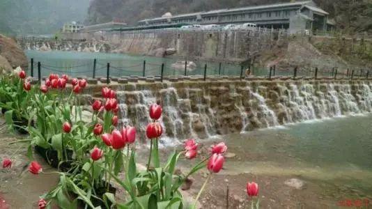 御剑八荒骷髅服八卦攻略大揭秘